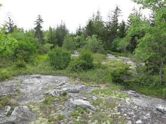community photo